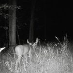 Thumbnail of 