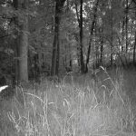Thumbnail of 