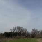 Thumbnail of 