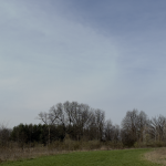 Thumbnail of 