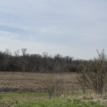 Thumbnail of 