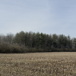 Thumbnail of 