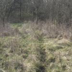 Thumbnail of 