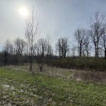 Thumbnail of 