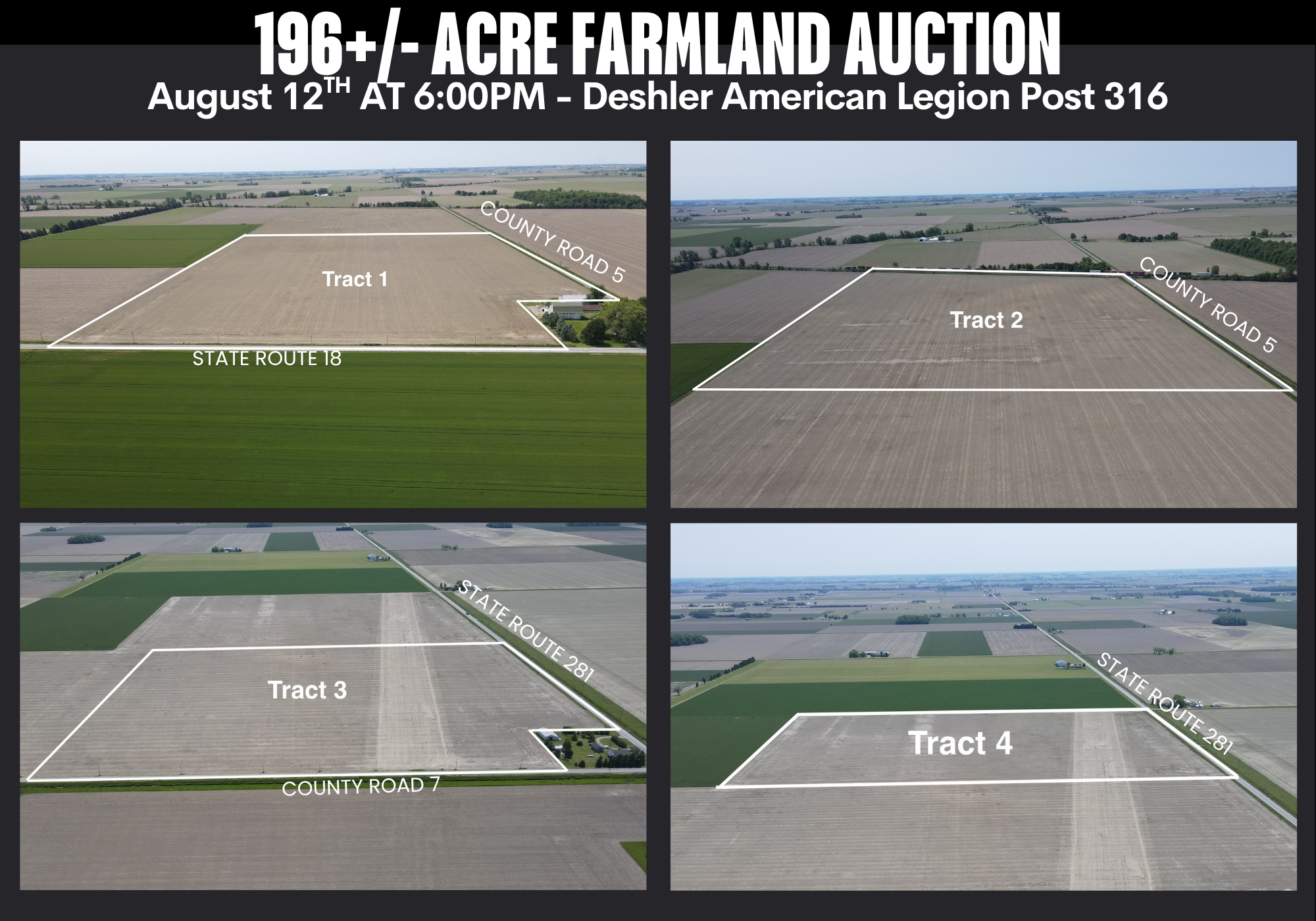 196 +/- Acres, Henry County, Bartlow & Richfield Township
